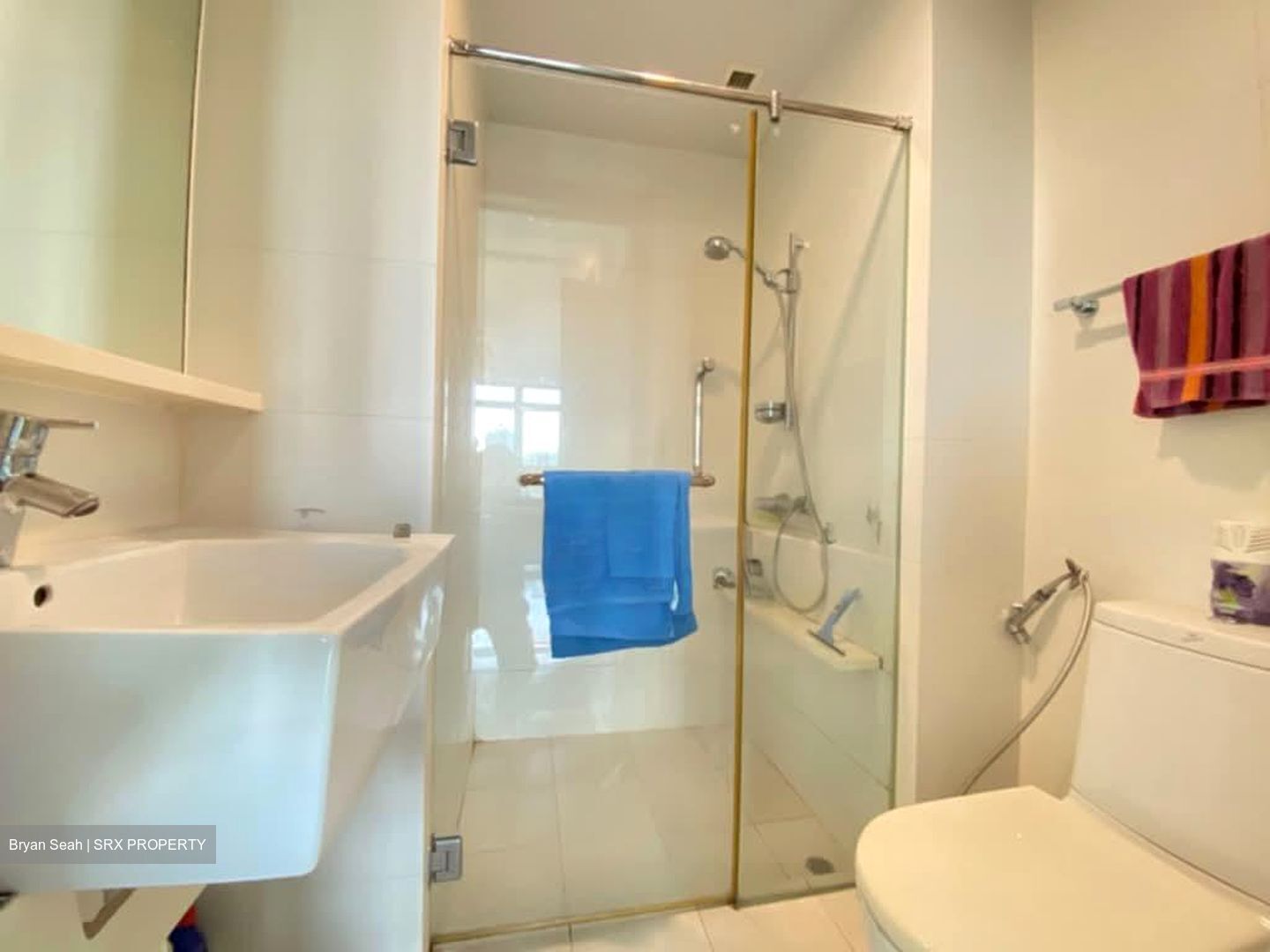 City Square Residences (D8), Condominium #535476111